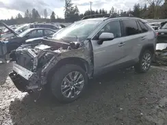 2T3A1RFV0KC047294 2019 TOYOTA RAV 4