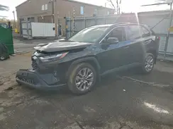 2T3A1RFV0RC401146 2024 TOYOTA RAV 4