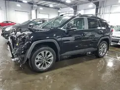 2T3A1RFV0RC481791 2024 TOYOTA RAV 4