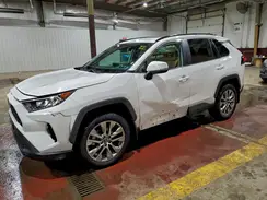 2T3A1RFV1KC054979 2019 TOYOTA RAV 4