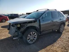 2T3A1RFV1PW338747 2023 TOYOTA RAV 4