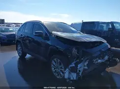2T3A1RFV1PW396812 2023 TOYOTA RAV 4