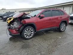 2T3A1RFV2KC024440 2019 TOYOTA RAV 4