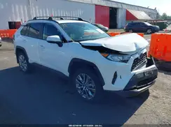 2T3A1RFV2KW081607 2019 TOYOTA RAV 4