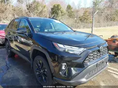2T3A1RFV2RC429742 2024 TOYOTA RAV 4