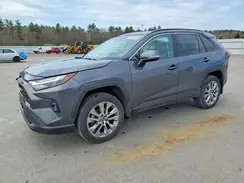 2T3A1RFV2RC465902 2024 TOYOTA RAV 4
