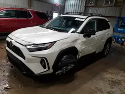 2T3A1RFV2RW415080 2024 TOYOTA RAV 4