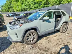 2T3A1RFV3KC040288 2019 TOYOTA RAV 4