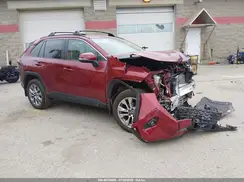 2T3A1RFV3PW403033 2023 TOYOTA RAV 4