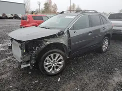 2T3A1RFV4RC442637 2024 TOYOTA RAV 4