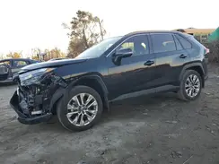 2T3A1RFV4RC459969 2024 TOYOTA RAV 4