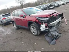 2T3A1RFV4RW438117 2024 TOYOTA RAV 4