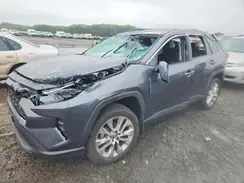 2T3A1RFV4SC499362 2025 TOYOTA RAV 4