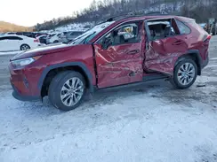 2T3A1RFV5KW001183 2019 TOYOTA RAV 4