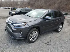 2T3A1RFV5PC359487 2023 TOYOTA RAV 4