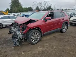 2T3A1RFV5PW392360 2023 TOYOTA RAV 4