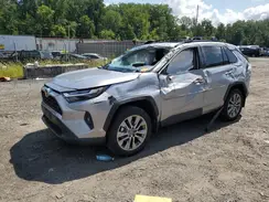 2T3A1RFV5RC464503 2024 TOYOTA RAV 4