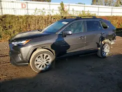 2T3A1RFV5RW493725 2024 TOYOTA RAV 4