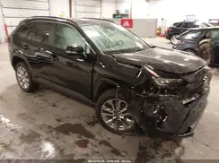 2T3A1RFV6KW051378 2019 TOYOTA RAV 4