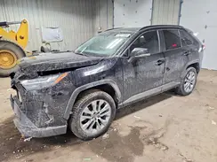 2T3A1RFV6PC350135 2023 TOYOTA RAV 4