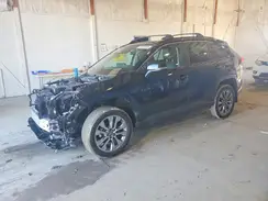 2T3A1RFV6RW466355 2024 TOYOTA RAV 4