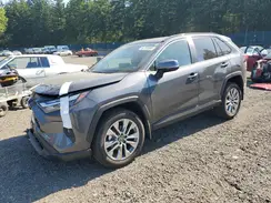 2T3A1RFV6SC503590 2025 TOYOTA RAV 4