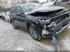 2T3A1RFV7PW368013 2023 TOYOTA RAV 4
