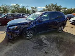2T3A1RFV7RW427290 2024 TOYOTA RAV 4