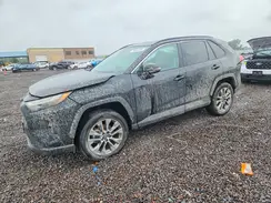 2T3A1RFV7SC564513 2025 TOYOTA RAV 4