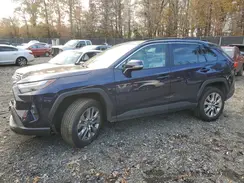 2T3A1RFV7SW516783 2025 TOYOTA RAV 4