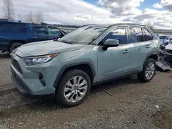2T3A1RFV8KC013166 2019 TOYOTA RAV 4