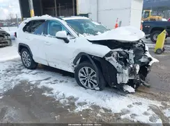 2T3A1RFV8KC040979 2019 TOYOTA RAV 4