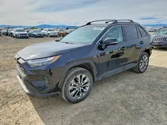 2T3A1RFV8PC370225 2023 TOYOTA RAV 4