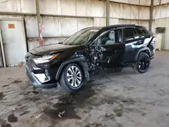 2T3A1RFV8PW344819 2023 TOYOTA RAV 4