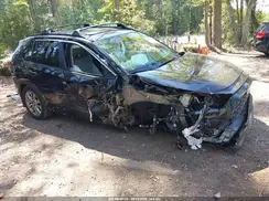 2T3A1RFV8SC544903 2025 TOYOTA RAV 4