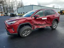 2T3A1RFV8SW509146 2025 TOYOTA RAV 4