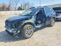 2T3A1RFV9SW547131 2025 TOYOTA RAV 4