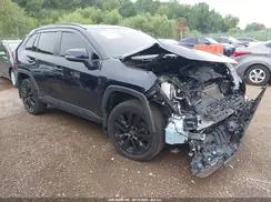 2T3A1RFVXPW372864 2023 TOYOTA RAV 4