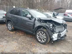 2T3A1RFVXRC416172 2024 TOYOTA RAV 4