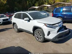 2T3A1RFVXRW457013 2024 TOYOTA RAV 4