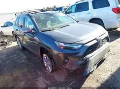 2T3A1RFVXSC572315 2025 TOYOTA RAV 4