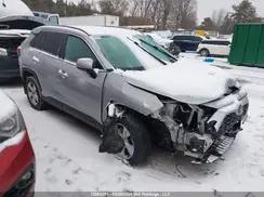 2T3B1RFV0KC019970 2019 TOYOTA RAV 4