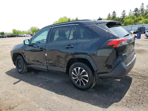 2T3B1RFV0LC094881 2020 TOYOTA RAV 4 - Image 2