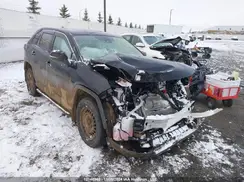 2T3B1RFV0PC330841 2023 TOYOTA RAV 4