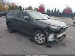 2T3B1RFV0PC333089 2023 TOYOTA RAV 4