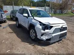 2T3B1RFV0PC346537 2023 TOYOTA RAV 4