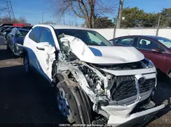 2T3B1RFV0RC465935 2024 TOYOTA RAV 4
