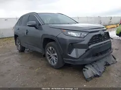 2T3B1RFV1KC036065 2019 TOYOTA RAV 4