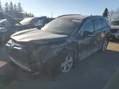 2T3B1RFV1KW030569 2019 TOYOTA RAV 4