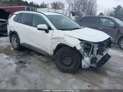 2T3B1RFV1LW101920 2020 TOYOTA RAV 4
